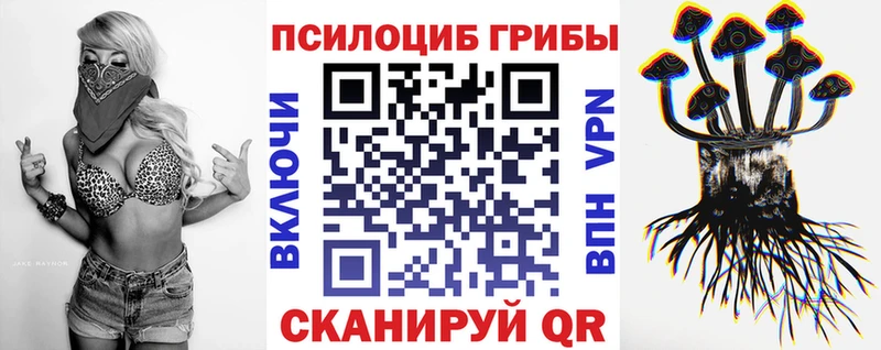 Псилоцибиновые грибы мухоморы  купить   Котельнич 