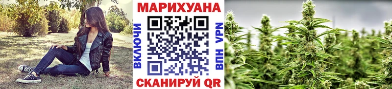 Шишки марихуана план  MEGA tor  Котельнич 
